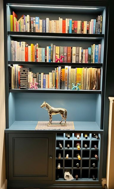 Book Shelf With Back Lighting